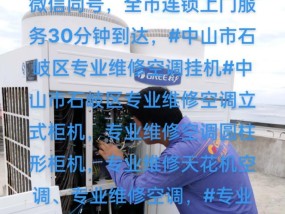 解决华宝空调启动后跳闸的问题（维修空调跳闸的方法及注意事项）