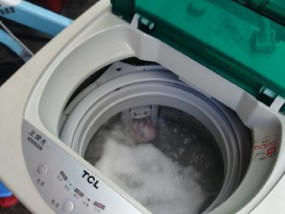 TCL洗衣机出现E2故障的解决方法（简单有效的解决TCL洗衣机E2故障的方法）