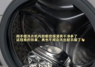 清洁半自动洗衣机内桶的细节及方法（有效清洗半自动洗衣机内桶污垢的关键）