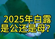 “公白露丢，母白露收”，2025年白露是公还是母？庄稼收成好不？