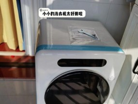 城区洗衣机清洗省钱的绝招（掌握这些小技巧）