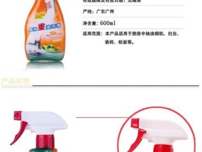如何正确清洗安心油烟机（掌握清洗技巧）