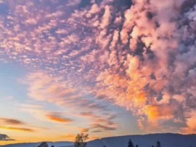 手机如何拍摄夕阳风景？技巧有哪些？