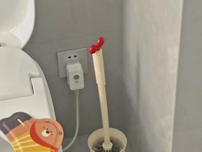 马桶刷品牌推荐，为你提供清洁无忧（挑选马桶刷的必备指南）