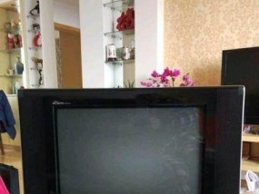 电视机后盖打不开的修理方法（解决电视机后盖无法打开的实用技巧）
