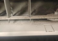 洗衣机清洗消毒杀菌指南（简单、高效、安全）