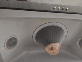用桔子皮清洗油烟机的神奇效果（环保又省钱）