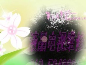 海淀维修电视机的实用方法（了解海淀维修电视机的步骤和技巧）