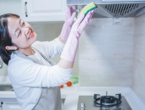 壁挂式油烟机内部清洗指南（轻松掌握清洗技巧，延长使用寿命）