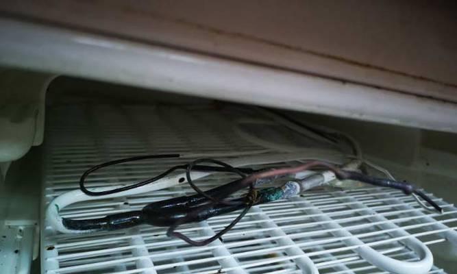 冰箱漏氟的判断和解决方法（冰箱漏氟的危害及检测方式）  第1张