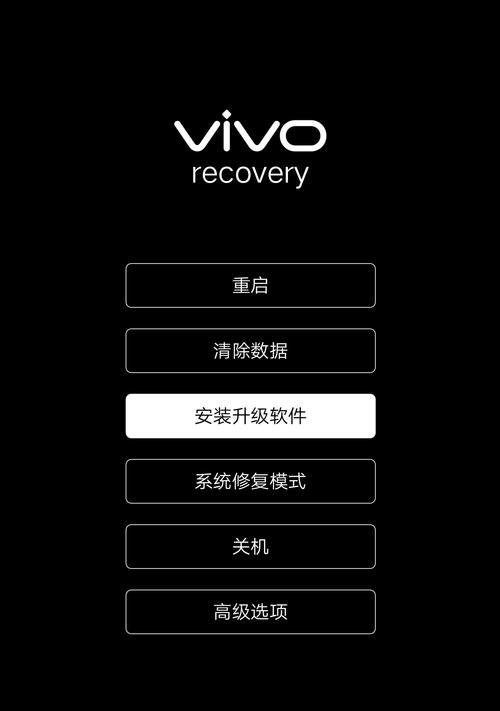 忘记vivo手机密码（vivo手机密码忘记后的应对措施与技巧）  第1张