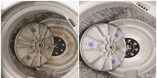 如何正确清洗以波轮全自动洗衣机（让你的洗衣机恢复最佳性能）  第3张