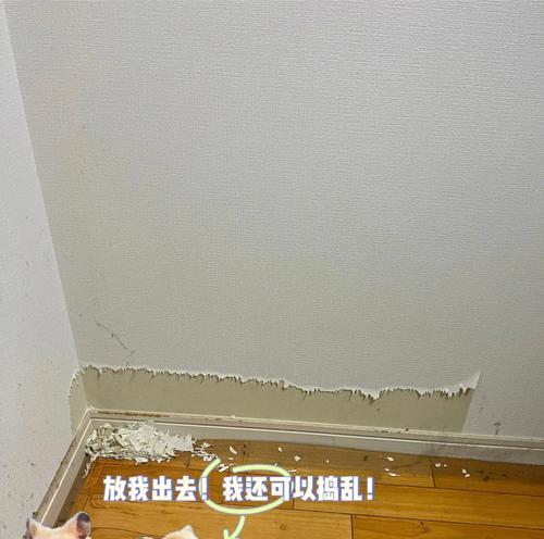 冰柜底被老鼠咬了怎么修（老鼠咬坏冰柜底）  第2张