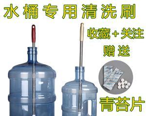 饮水机水箱青苔清洗方法（轻松解决水箱青苔问题）  第2张
