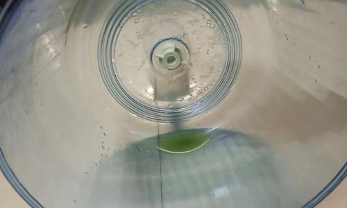 饮水机水箱青苔清洗方法（轻松解决水箱青苔问题）  第3张
