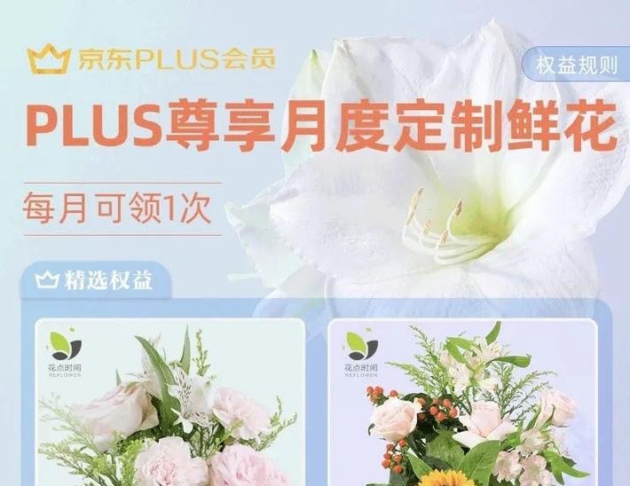 如何提高京东整点秒杀成功率？预约技巧有哪些？  第1张