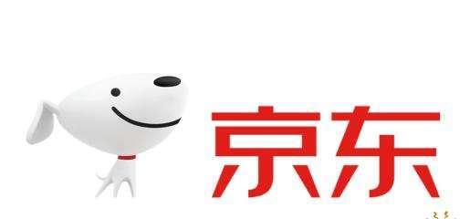 京东商城网上购物登录遇到问题怎么办？常见故障及解决方法是什么？  第2张