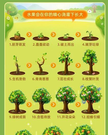 芭芭农场红包怎么用？使用规则有哪些常见问题解答？  第2张