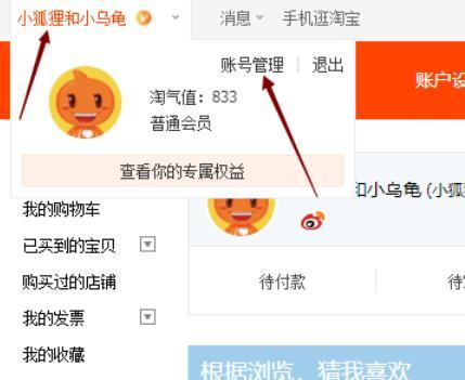 淘宝店铺名如何修改？修改店铺名的步骤和注意事项是什么？  第2张