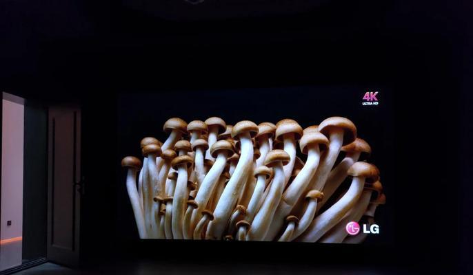 奥图码投影仪红灯闪烁的解决方法是什么？  第3张