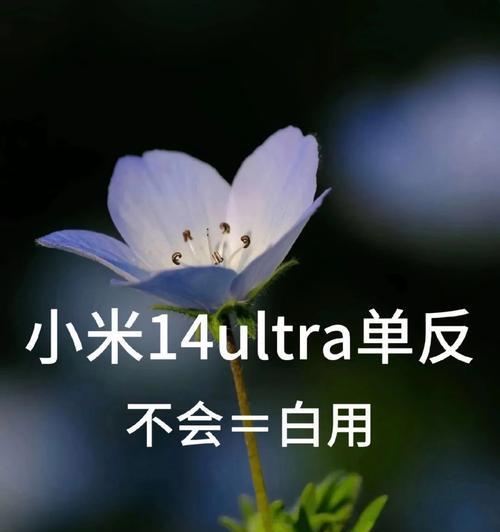 小米手机如何拍出清晰好看的照片？有哪些拍摄技巧？  第1张