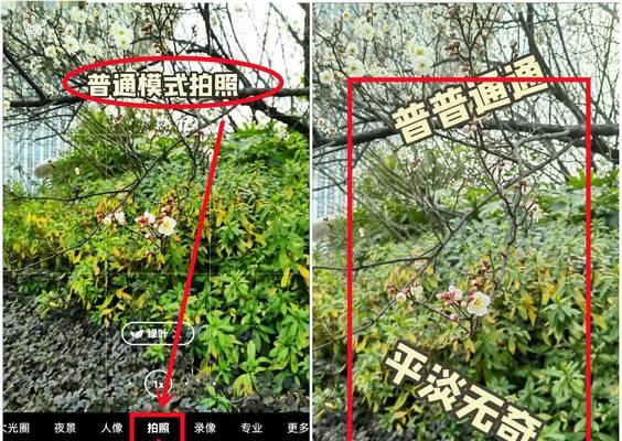 手机拍照时背景模糊如何调整设置？  第3张