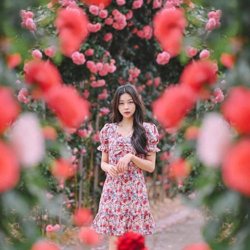 高模糊镜头教程怎么用手机拍照？有哪些技巧和步骤？  第1张