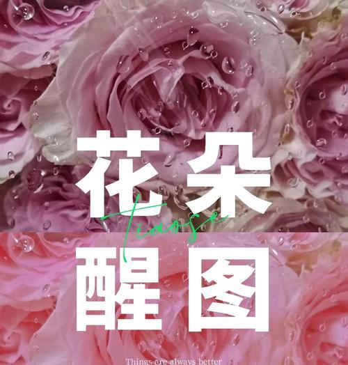 vivo手机如何调出玫瑰色？调色技巧是什么？  第2张