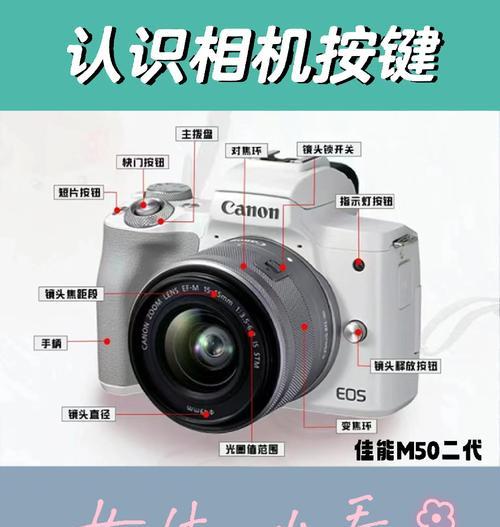 佳能相机镜头拆卸及查看快门方法是什么？  第1张