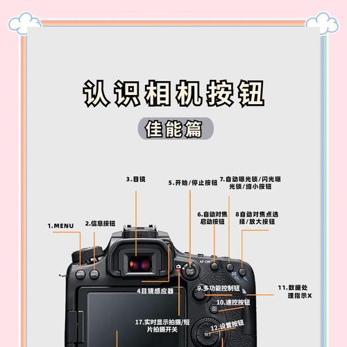 佳能相机镜头拆卸及查看快门方法是什么？  第3张