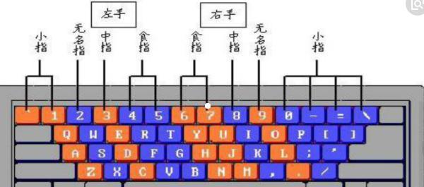 弹键盘的姿势是什么？正确的姿势对打字速度有何影响？  第2张