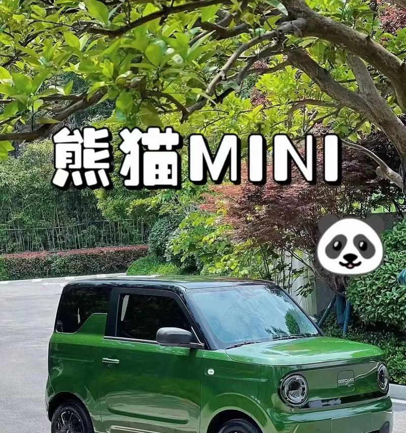 电瓶车携带熊猫上路的法律规定？  第1张