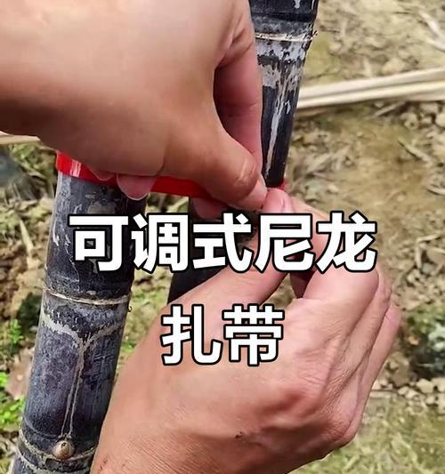 散热器扎带怎么拆？拆散热器扎带的正确方法是什么？  第2张