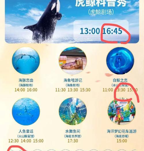 海洋馆内如何使用数码相机拍摄？  第1张