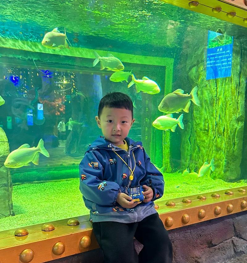 海洋馆内如何使用数码相机拍摄？  第2张