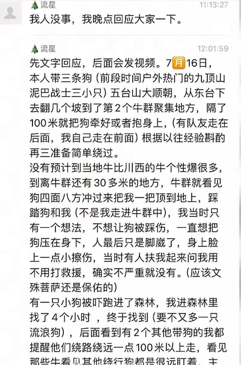 疑似反转！五台山游客被牛群踩踏，当事人道出实情，否认喂牛肉干  第6张