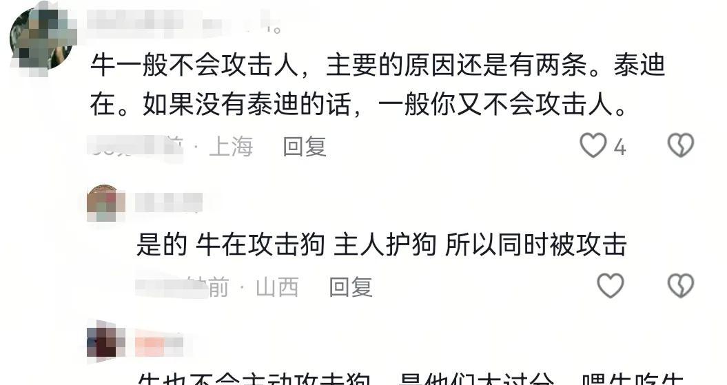 疑似反转！五台山游客被牛群踩踏，当事人道出实情，否认喂牛肉干  第9张