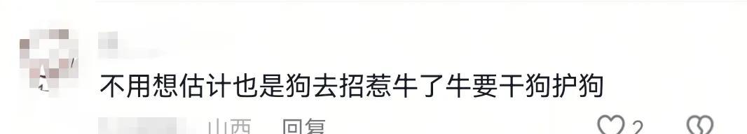 疑似反转！五台山游客被牛群踩踏，当事人道出实情，否认喂牛肉干  第8张