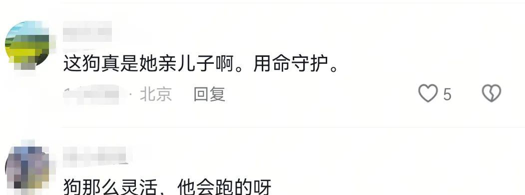 疑似反转！五台山游客被牛群踩踏，当事人道出实情，否认喂牛肉干  第10张
