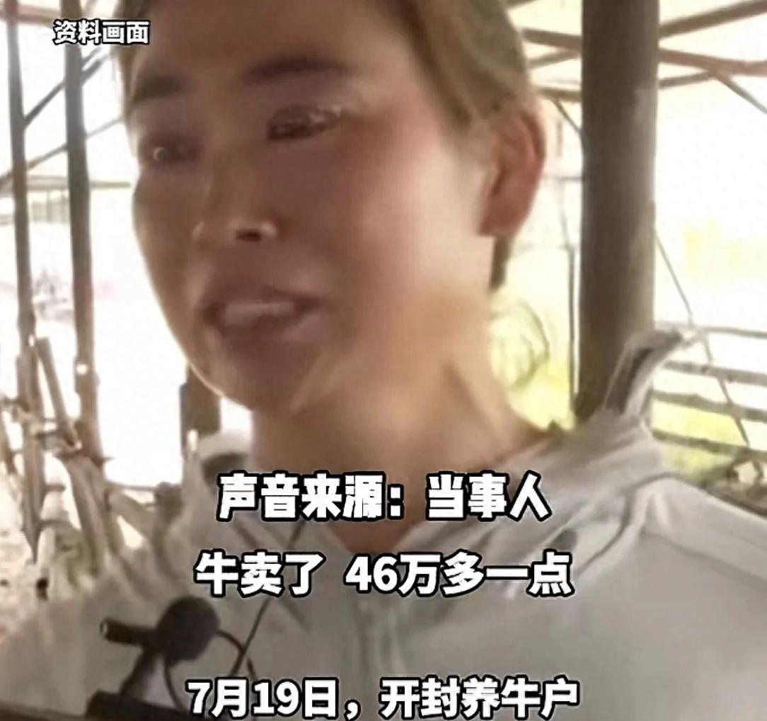 开封养牛户收卖牛款50万，牛拉走账户涉诈被冻！哭诉害怕钱牛两空  第1张
