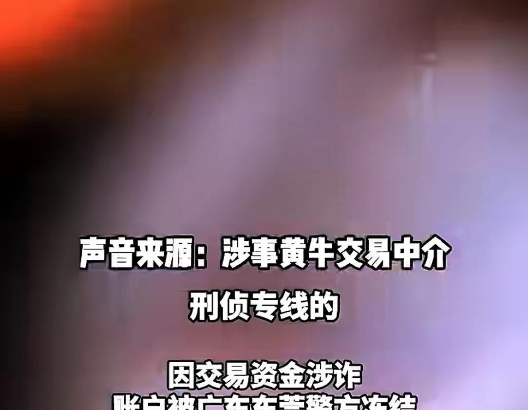 开封养牛户收卖牛款50万，牛拉走账户涉诈被冻！哭诉害怕钱牛两空  第5张