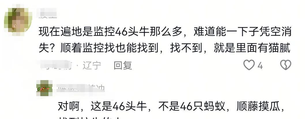 开封养牛户收卖牛款50万，牛拉走账户涉诈被冻！哭诉害怕钱牛两空  第7张