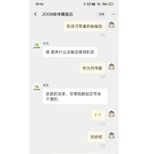 zoob蓝牙耳机连接方法是什么？连接后如何确保稳定性？  第1张