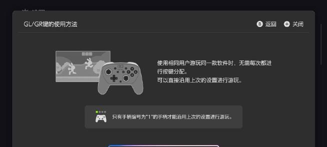 Switch如何设置双人游戏？需要哪些配件或设置？  第3张