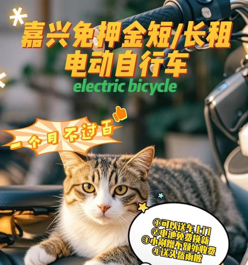 申港租电瓶车怎么租？需要哪些手续和费用？  第1张
