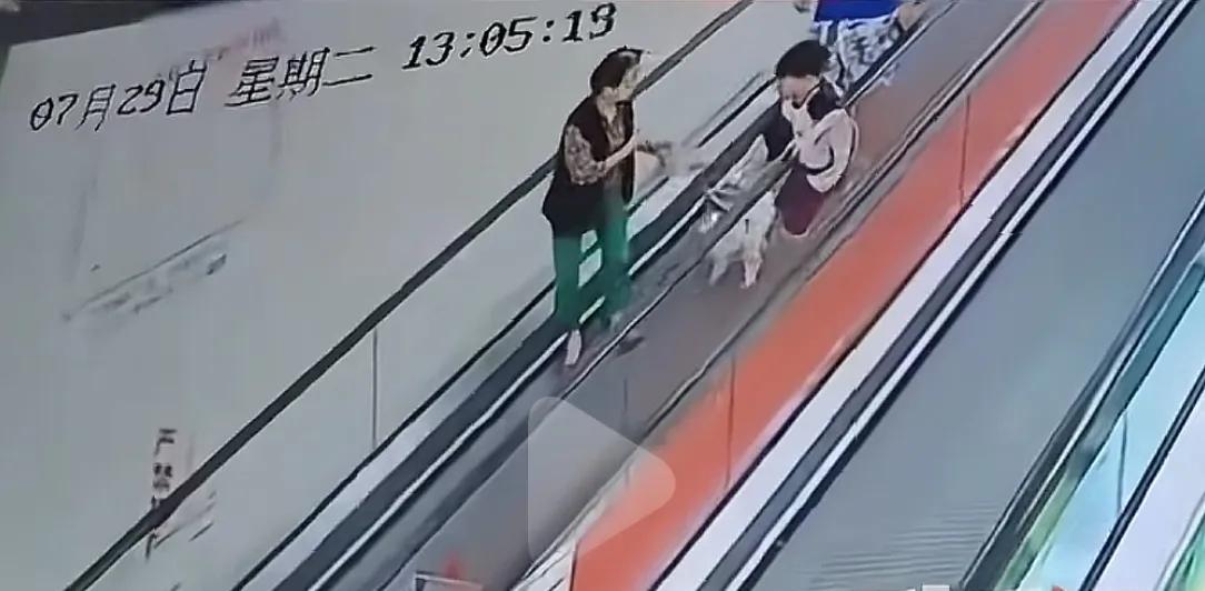 男孩商场扶梯上被狗咬伤，狗主人安慰几句后竟直接离开！警方介入  第2张