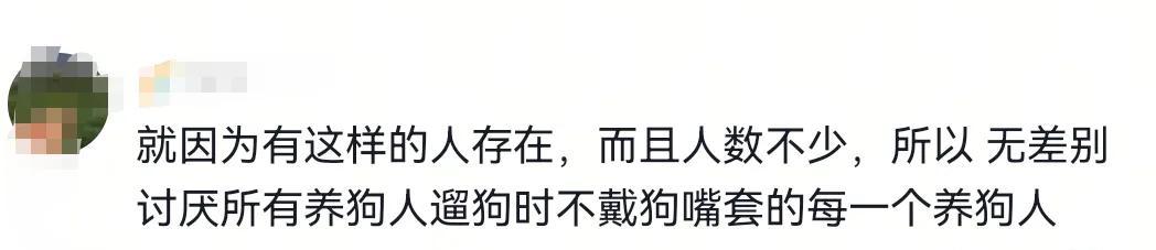 男孩商场扶梯上被狗咬伤，狗主人安慰几句后竟直接离开！警方介入  第5张