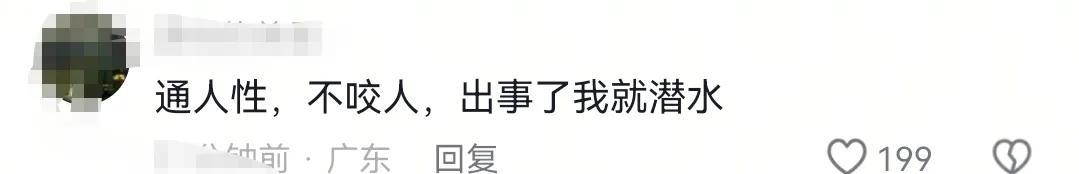 男孩商场扶梯上被狗咬伤，狗主人安慰几句后竟直接离开！警方介入  第6张