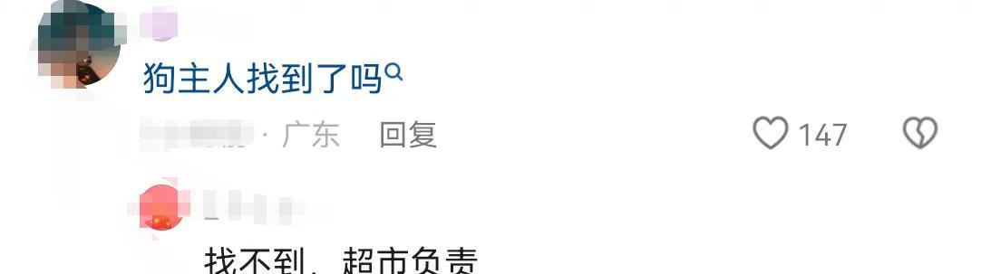 男孩商场扶梯上被狗咬伤，狗主人安慰几句后竟直接离开！警方介入  第7张