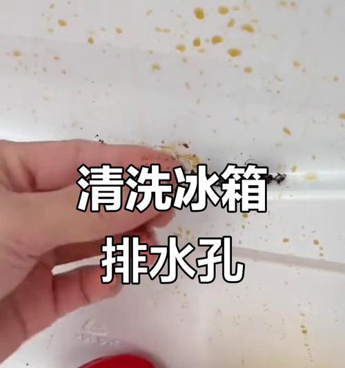 冰箱进水孔堵塞怎么办？（教你几招轻松应对解决方法，省心省力！）  第3张